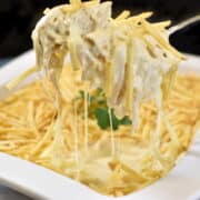shredded chicken in creamy sauce topped with cheese and potato sticks