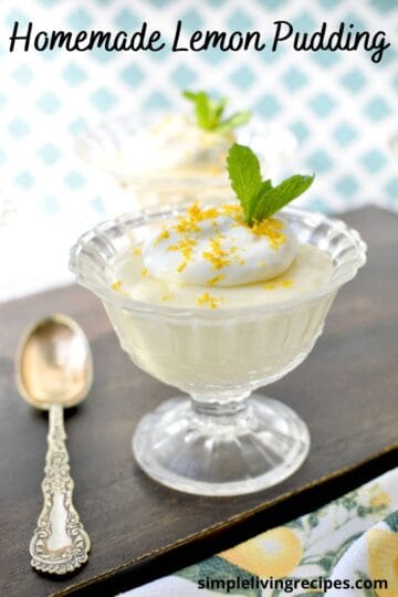 The Best Homemade Lemon Pudding - [no eggs or cornstarch]