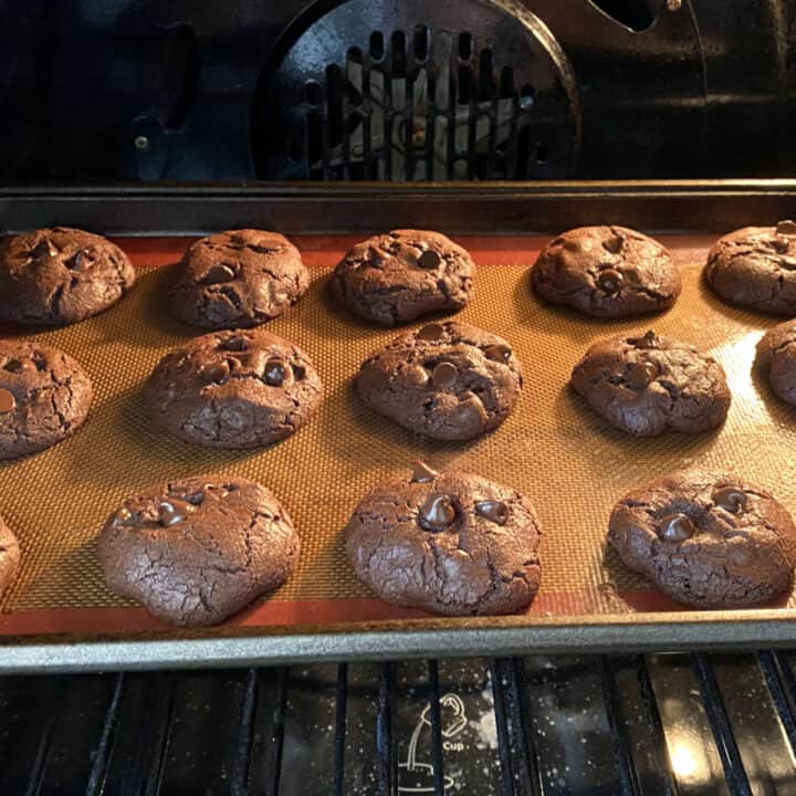 Fudgy chocolate cookies (with cocoa powder) Simple Living Recipes