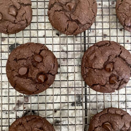 Fudgy chocolate cookies (with cocoa powder) Simple Living Recipes