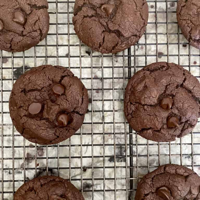Fudgy chocolate cookies (with cocoa powder) Simple Living Recipes