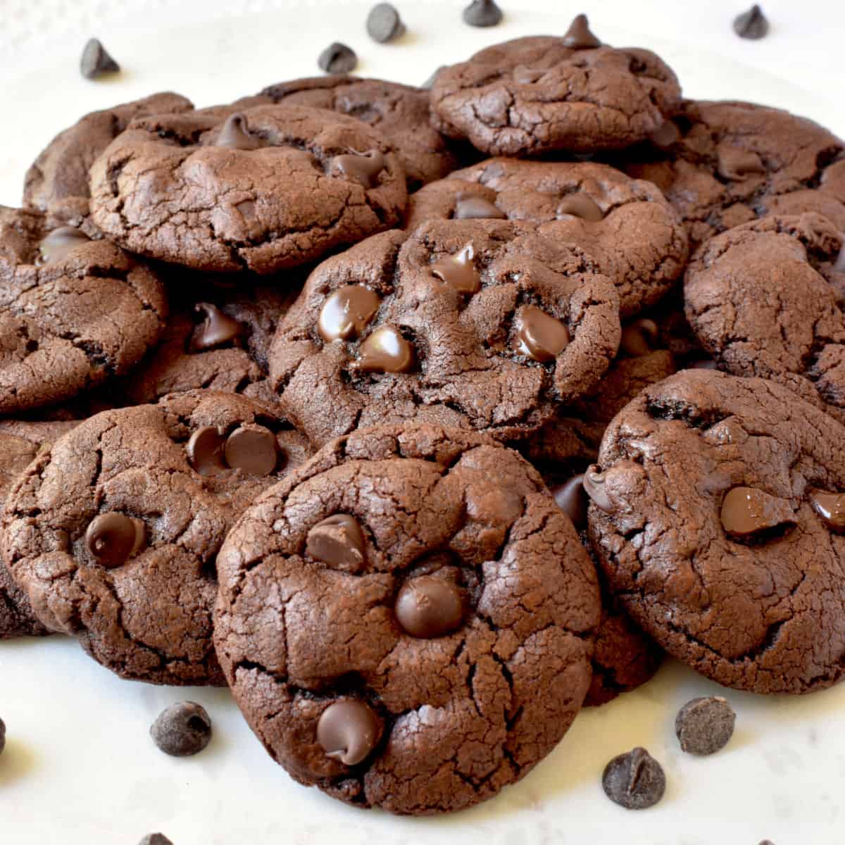 Fudgy chocolate cookies (with cocoa powder) Simple Living Recipes