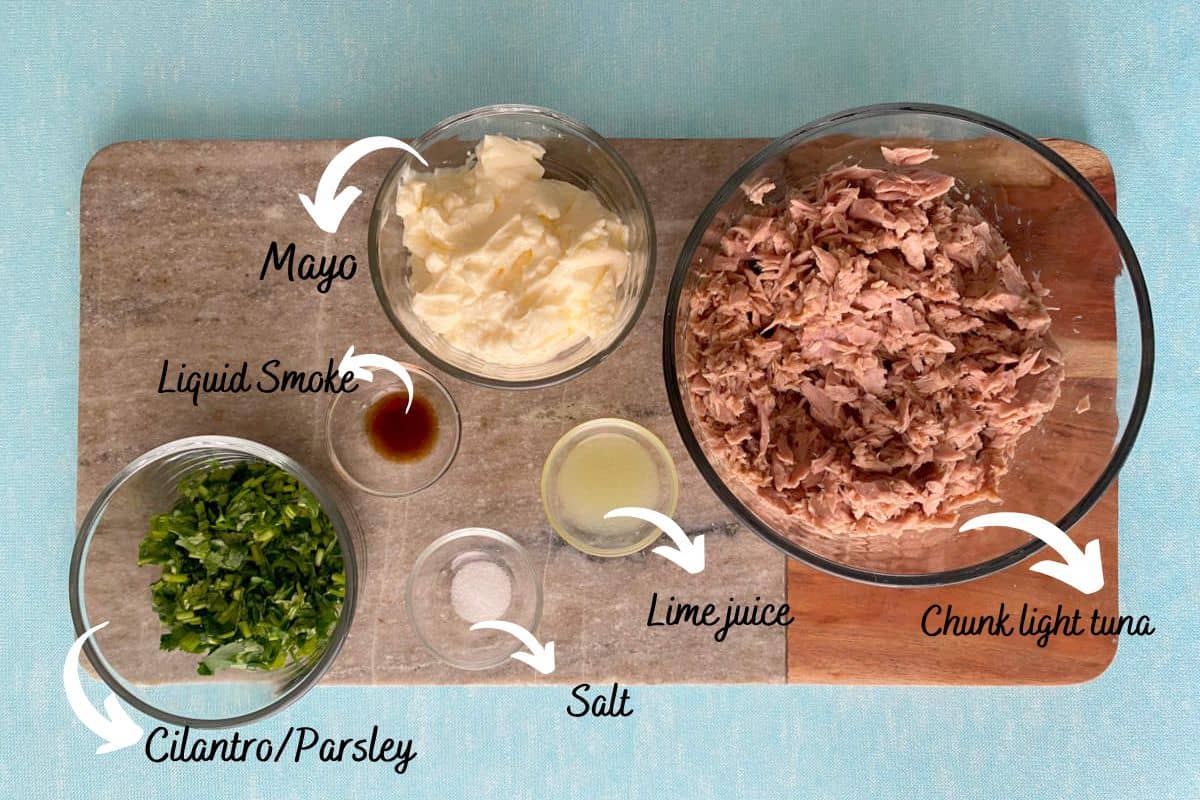 Ingredients to make smoked tuna dip.