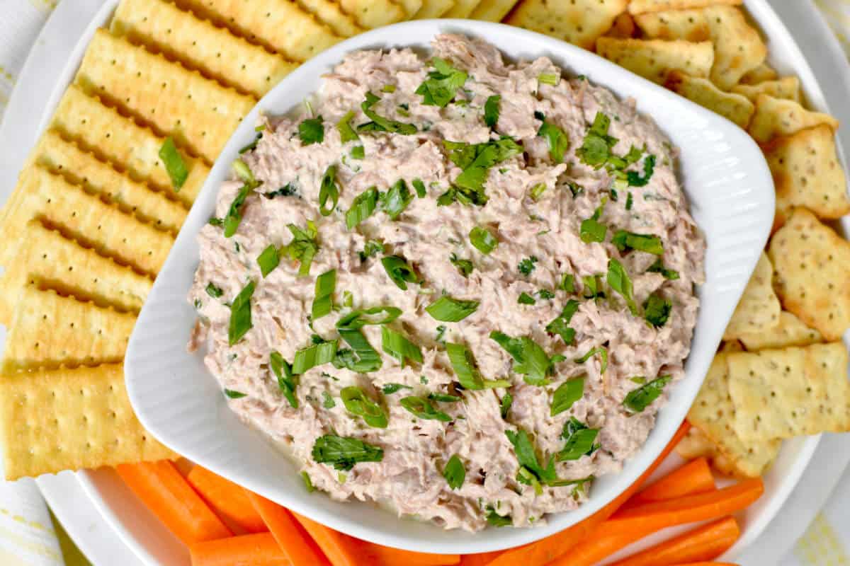 smoked tuna dip with crackers and vegetables around.