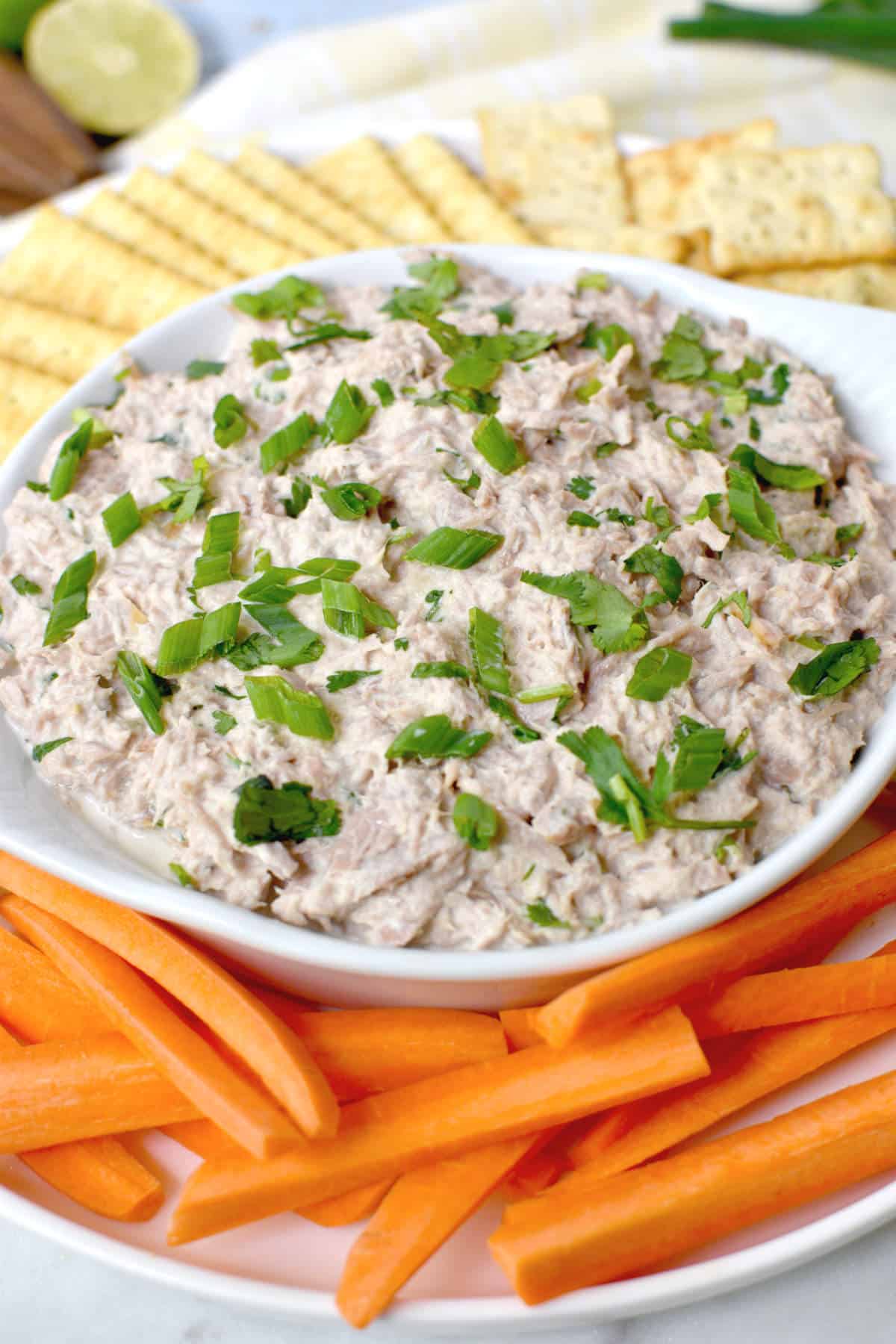 smoked tuna dip with green onions and cilantro on top and crackers and carrot sticks around.